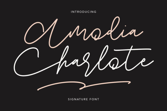 Amodia Charlote: A Designer’s Practical Review