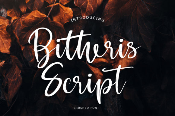 Bitheris: A Modern Handwritten Font for Web Design