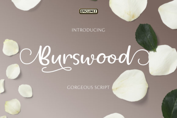 Burswood: The Handwritten Font That Elevates Brand Identity