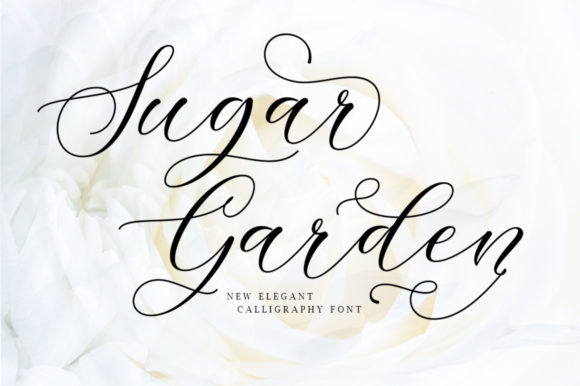 Sugar Garden Font Review for Campaign Designers