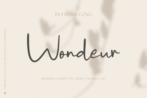 Wondeur: A Delicate Handwritten Typeface for Romantic Brands